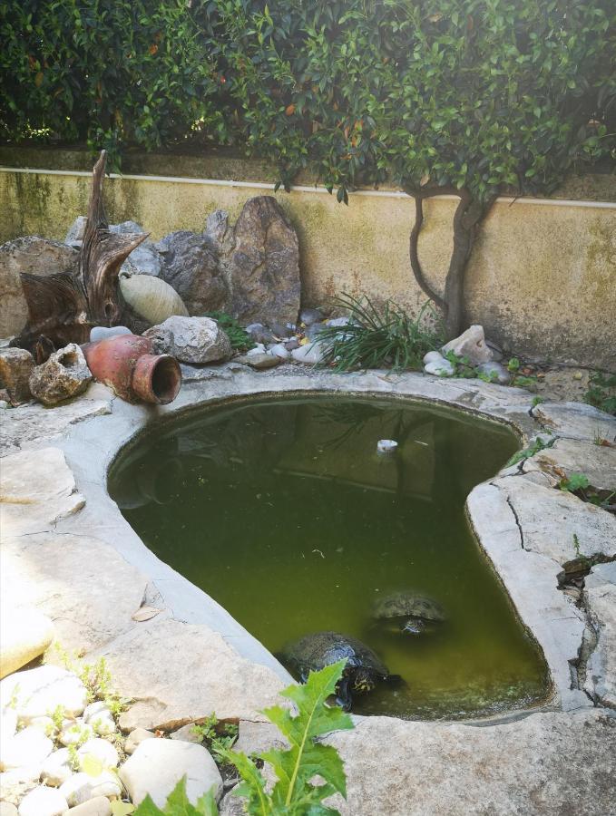 Villetta Blue Garden Sonnino Exterior photo
